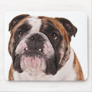 Tapis de souris chiot bouledogues anglais