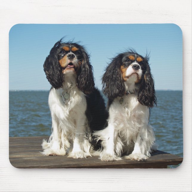 Tapis de souris chiot Cavalier King Charles Spanie (Devant)