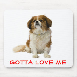 Tapis de souris chiot Cavalier King Charles Spanie