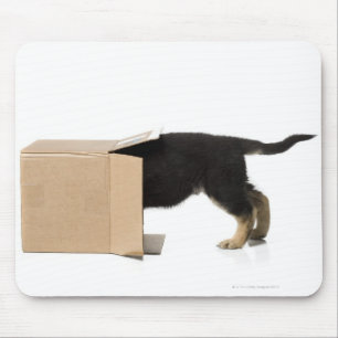 Tapis De Souris Chiot dans la boîte en carton