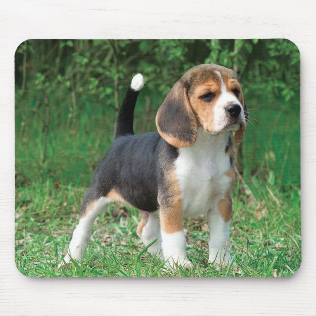 Tapis De Souris Chiot de beagle (Devant)