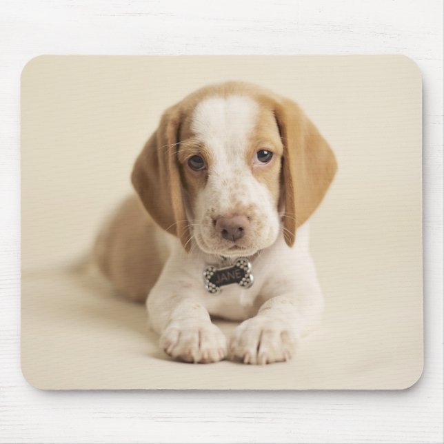 Tapis De Souris Chiot de beagle (Devant)