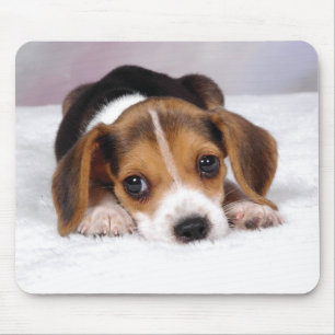 Tapis De Souris Chiot de beagle