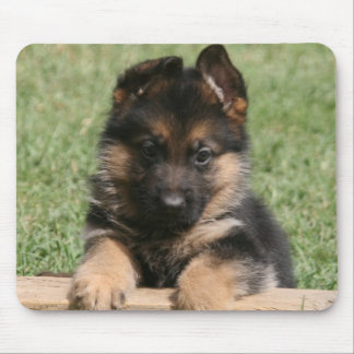 Tapis De Souris Chiot de berger allemand
