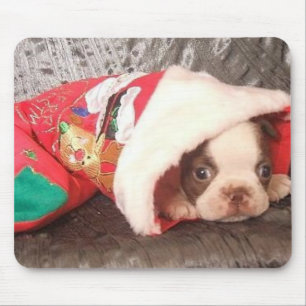Tapis De Souris Chiot de Boston dans le bas de Noël