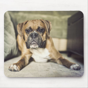 Tapis De Souris Chiot de boxeur de faon