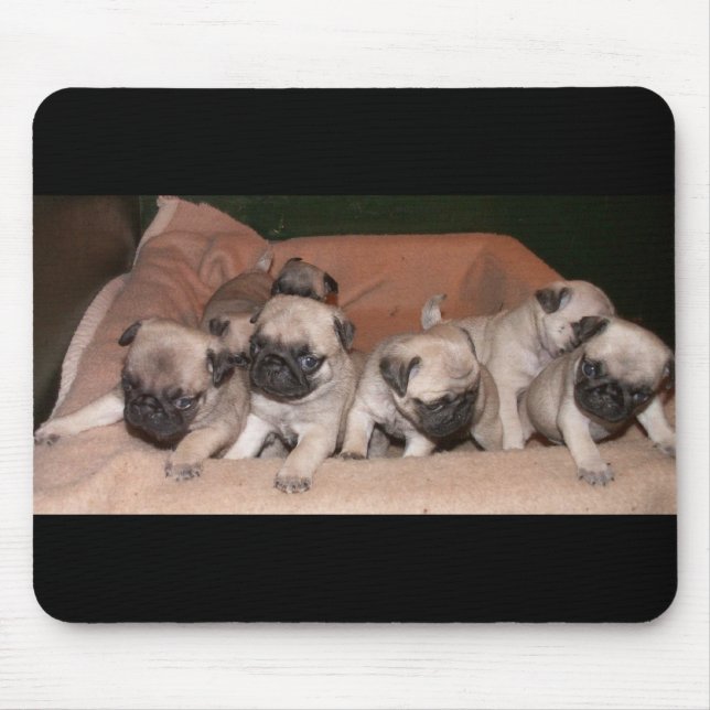 Tapis De Souris chiot de carlin (Devant)
