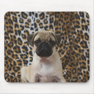 Tapis De Souris Chiot de carlin se reposant contre le poster de