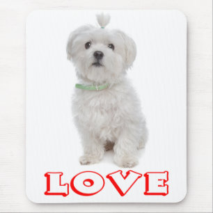 Tapis De Souris Chiot de chien maltais blanc Canin