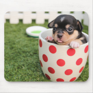 Tapis De Souris Chiot de chiwawa de tasse de thé