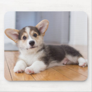 Tapis De Souris Chiot de corgi de Gallois de Pembroke