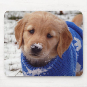 Tapis De Souris Chiot de golden retriever