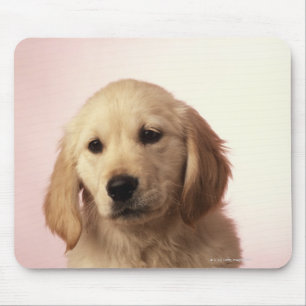 Tapis De Souris Chiot de golden retriever