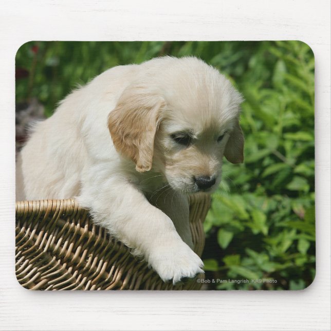 Tapis De Souris Chiot de golden retriever dans le panier (Devant)