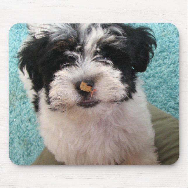 Tapis De Souris Chiot de Havanese (Devant)