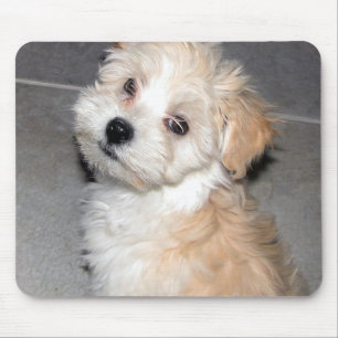 Tapis De Souris Chiot de Havanese