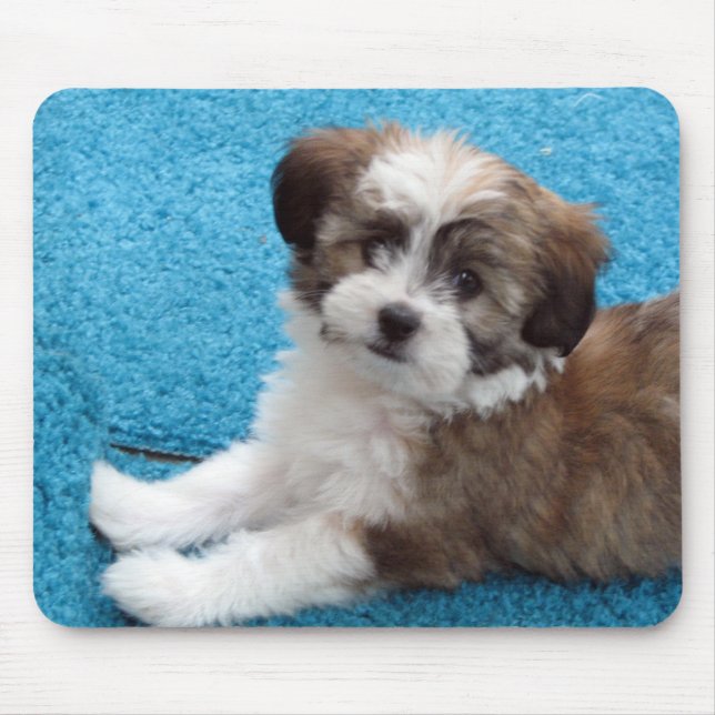 Tapis De Souris Chiot de Havanese - customisé (Devant)