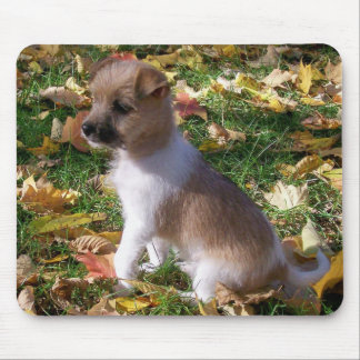 Tapis De Souris Chiot de Jack Russell