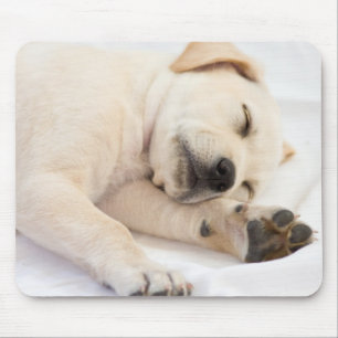 Tapis De Souris Chiot de Labrador
