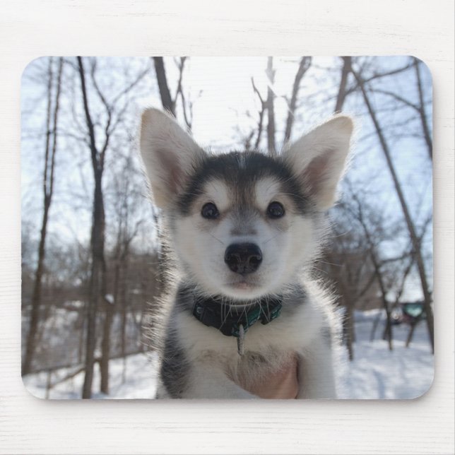 Tapis De Souris Chiot de Noël (Devant)