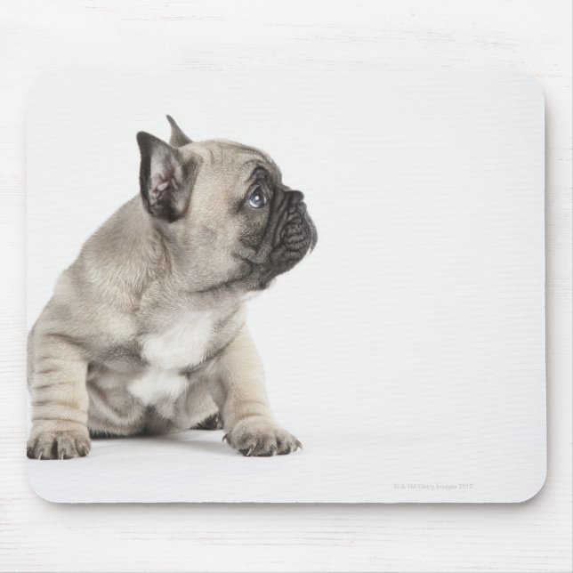 Tapis De Souris Chiot de Pedigree (Devant)