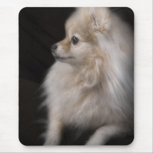Tapis De Souris Chiot de pose adorable mignon de Pomeranian