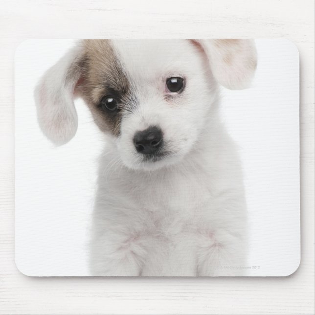 Tapis De Souris Chiot de race croisée (2 mois) (Devant)