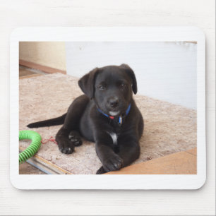 Tapis De Souris Chiot de récupération Black Labrador