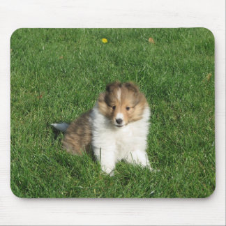 Tapis De Souris Chiot de Sheltie dans le mousepad d'herbe