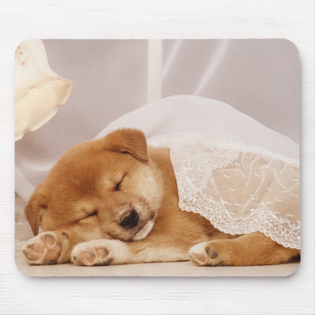 Tapis De Souris Chiot de Shiba Inu dormant sous un rideau net (Devant)
