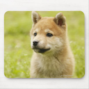 Tapis De Souris chiot de Shiba-ken