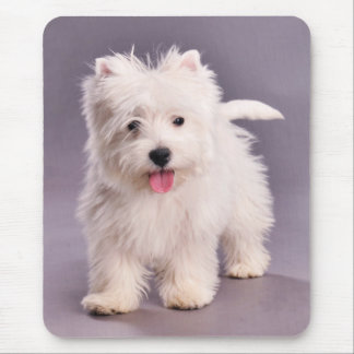 Tapis De Souris Chiot de Westie