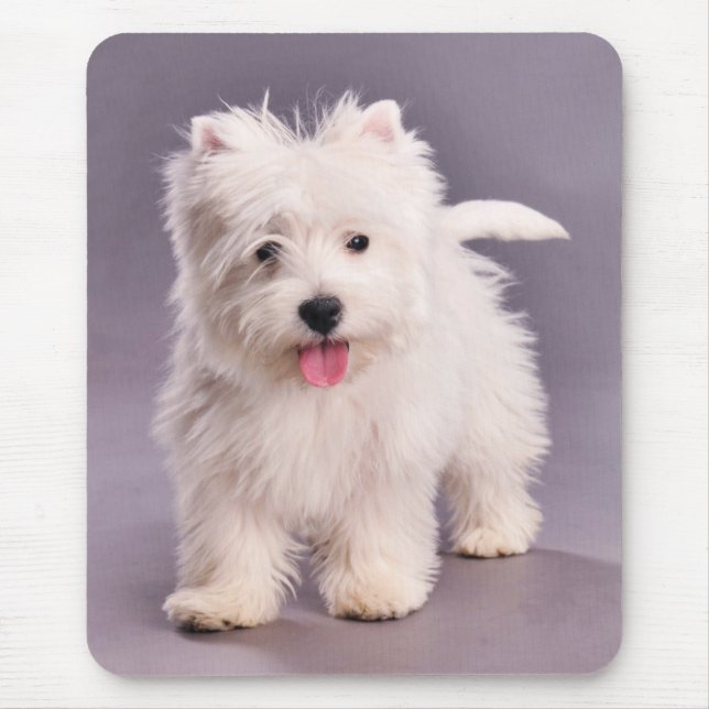Tapis De Souris Chiot de Westie (Devant)