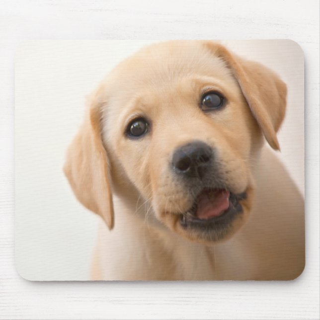 Tapis De Souris Chiot d'or de Labrador (Devant)