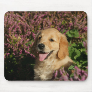 Tapis De Souris Chiot d'or de Retreiver
