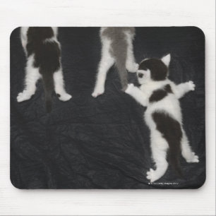 Tapis De Souris Chiot enroué