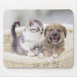 Tapis De Souris Chiot et chat de bébé