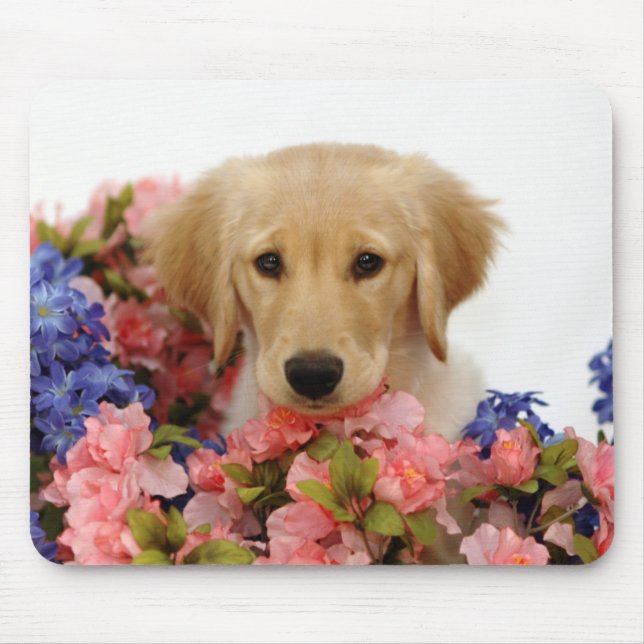 Tapis De Souris Chiot et fleurs de golden retriever (Devant)