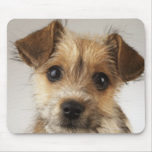 Tapis De Souris Chiot (familiaris de Canis)