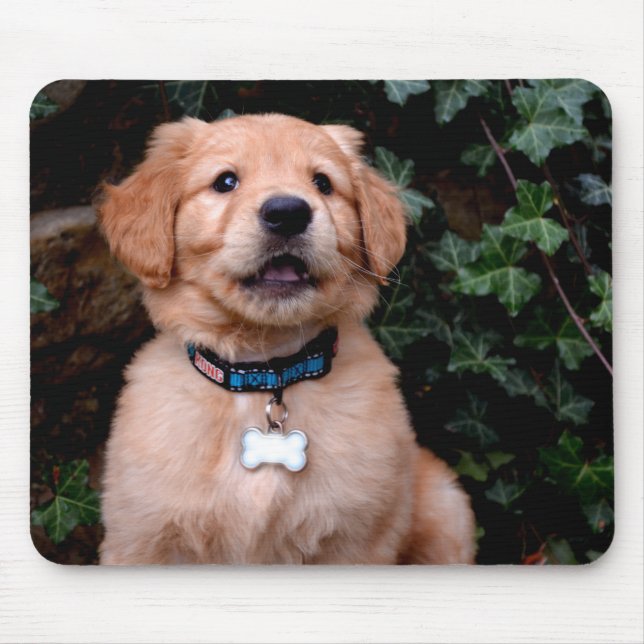 Tapis De Souris Chiot Golden Retriever (Devant)