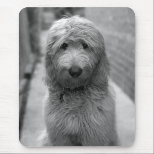 Tapis De Souris Chiot Goldendoodle en Jardin