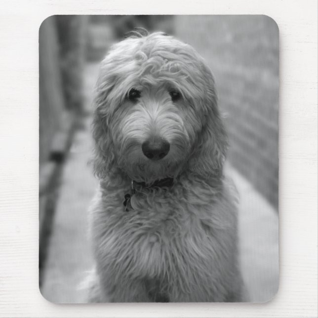 Tapis De Souris Chiot Goldendoodle en Jardin (Devant)