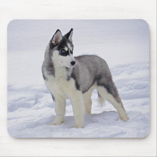 Tapis de souris chiot Husky sibérien dans la neige