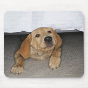 Tapis De Souris Chiot jaune de laboratoire coincé sous le lit