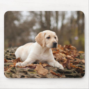 Tapis De Souris Chiot jaune du Labrador à l'automne
