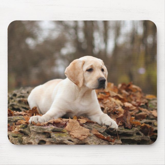 Tapis De Souris Chiot jaune du Labrador à l'automne (Devant)