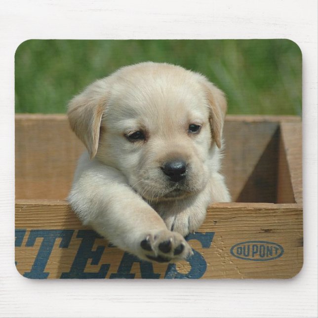 Tapis de souris chiot Labrador Retriever (Devant)