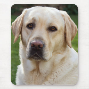 Tapis de souris chiot Labrador Retriever jaune