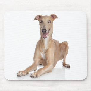 Tapis de souris chiot lévrier italien