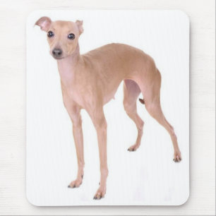 Tapis de souris chiot lévrier italien